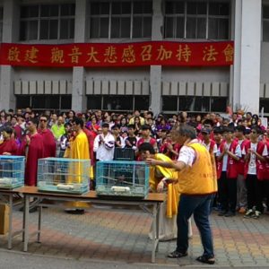 共放生近千隻小鳥及10萬多尾地龍 共放生近千隻小鳥及10萬多尾地龍