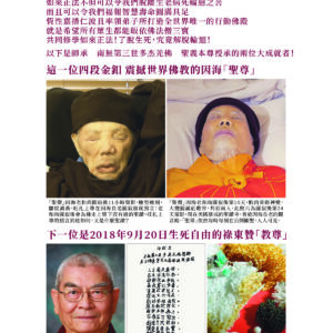 世界佛教正心會 行動佛殿 佛光遍照 環島祈福法會第30站來到屏東大鵬灣參加台灣燈會 世界佛教正心會 行動佛殿 佛光遍照 環島祈福法會第30站來到屏東大鵬灣參加台灣燈會