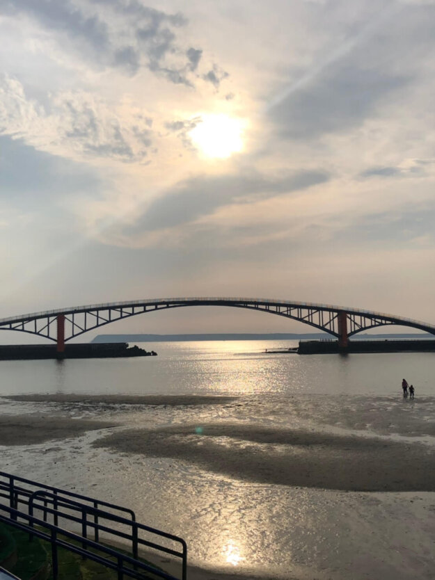 觀音大悲感召加持法會受用心得