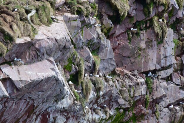 諸惡莫作眾善奉行