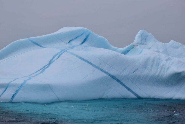 豬惡莫作眾善奉行