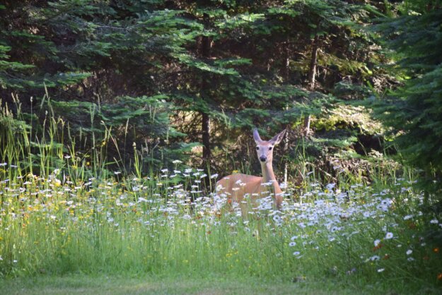 真修行利益一切眾生