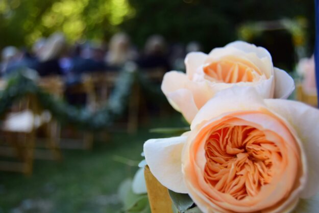 諸惡莫作眾善奉行