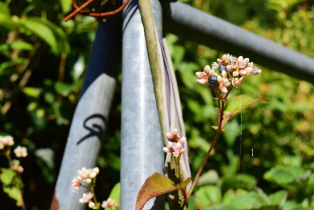 虔誠修行的母親感動基督教的女兒 虔誠修行的母親感動基督教的女兒