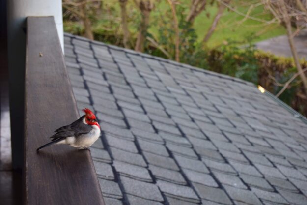 時光荏苒把握今生成就