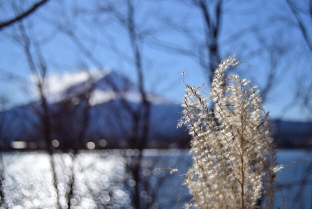 佛法是真實不虛 感恩諸佛菩薩加持