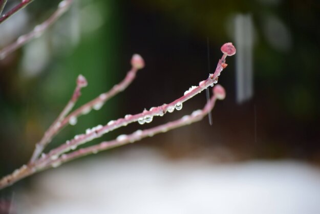 感恩上師超渡 虔誠念佛不斷的奶奶