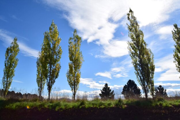 皈依多年 直到恭讀藉心經說真諦後終於明白學佛為何