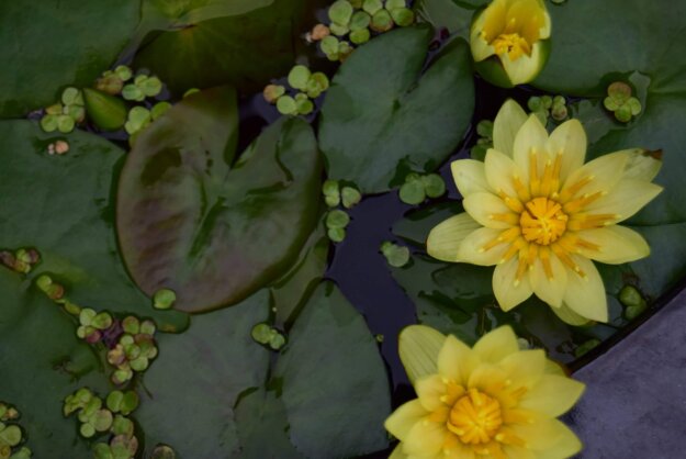 佛法真實不虛，感恩佛菩薩的加持