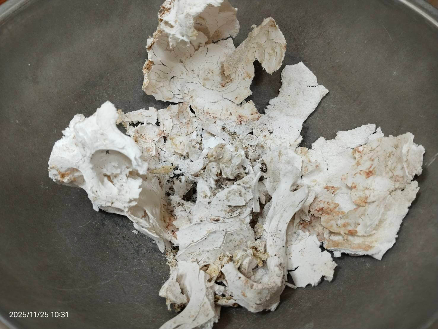 外婆火化後的殊勝吉祥物