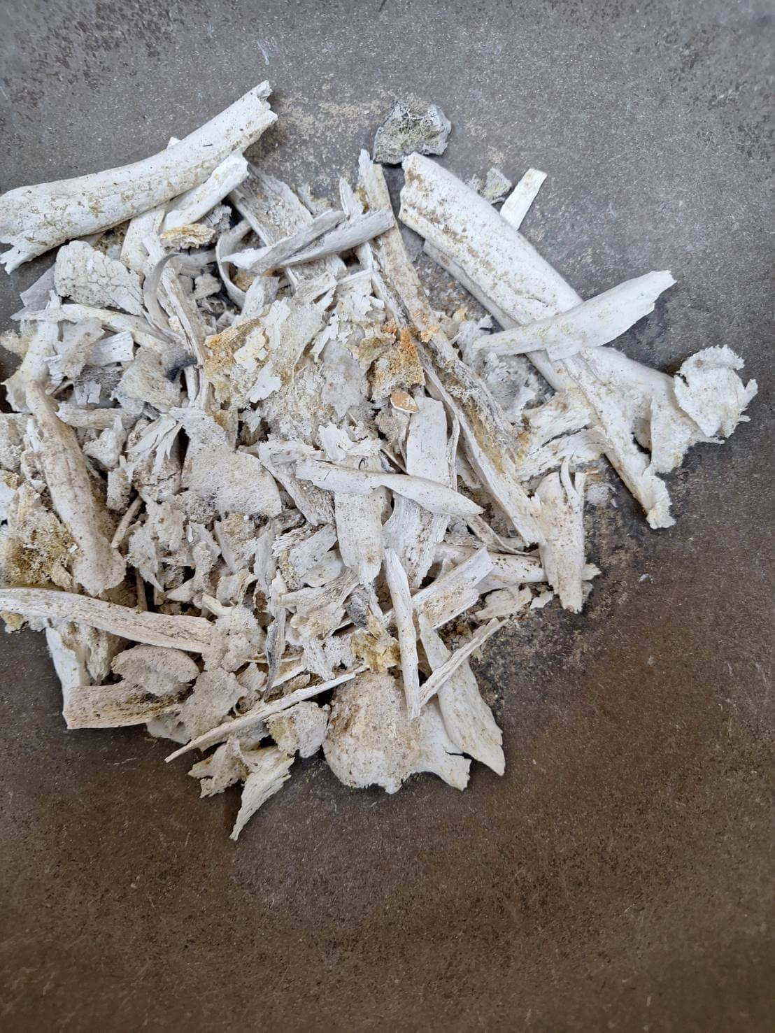 外婆火化後的殊勝吉祥物