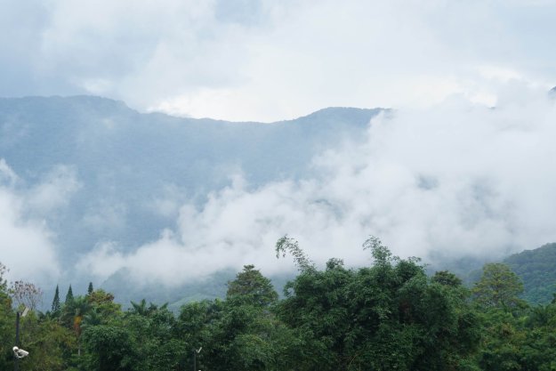 感恩金剛上師慈悲超渡外婆 外傭都說外婆的面容就像睡著一般安祥