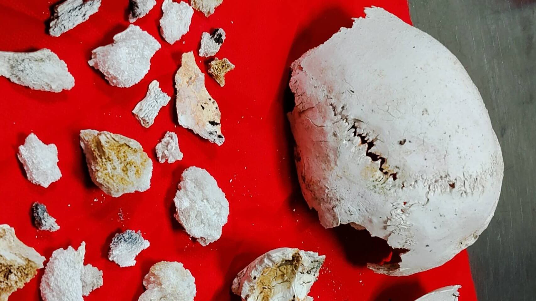 火化後有許多相當殊勝的舍利花