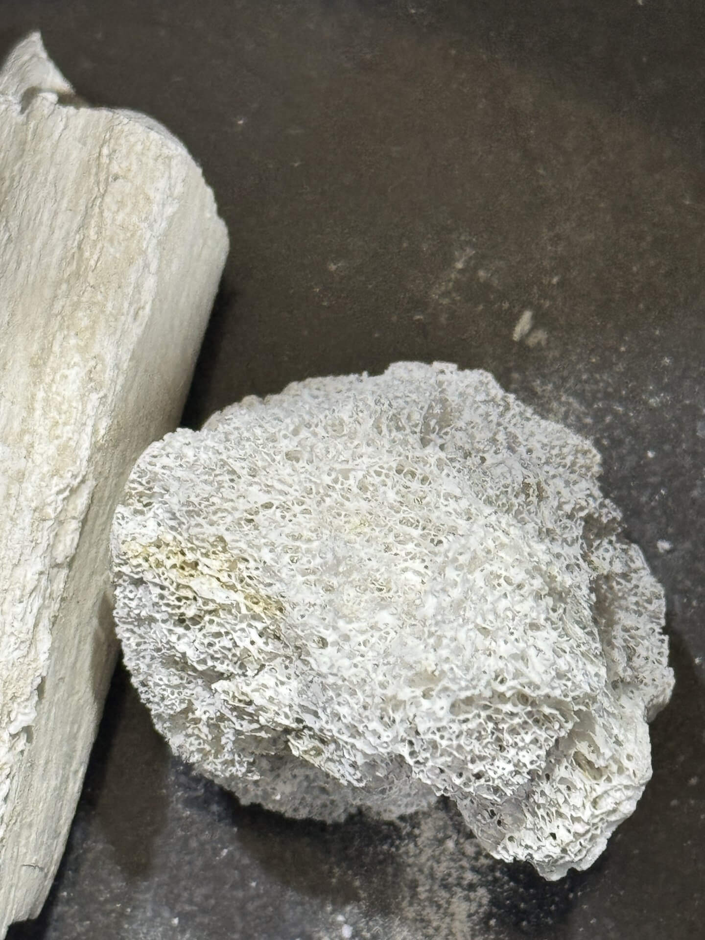  火化後，有吉祥物舍利花