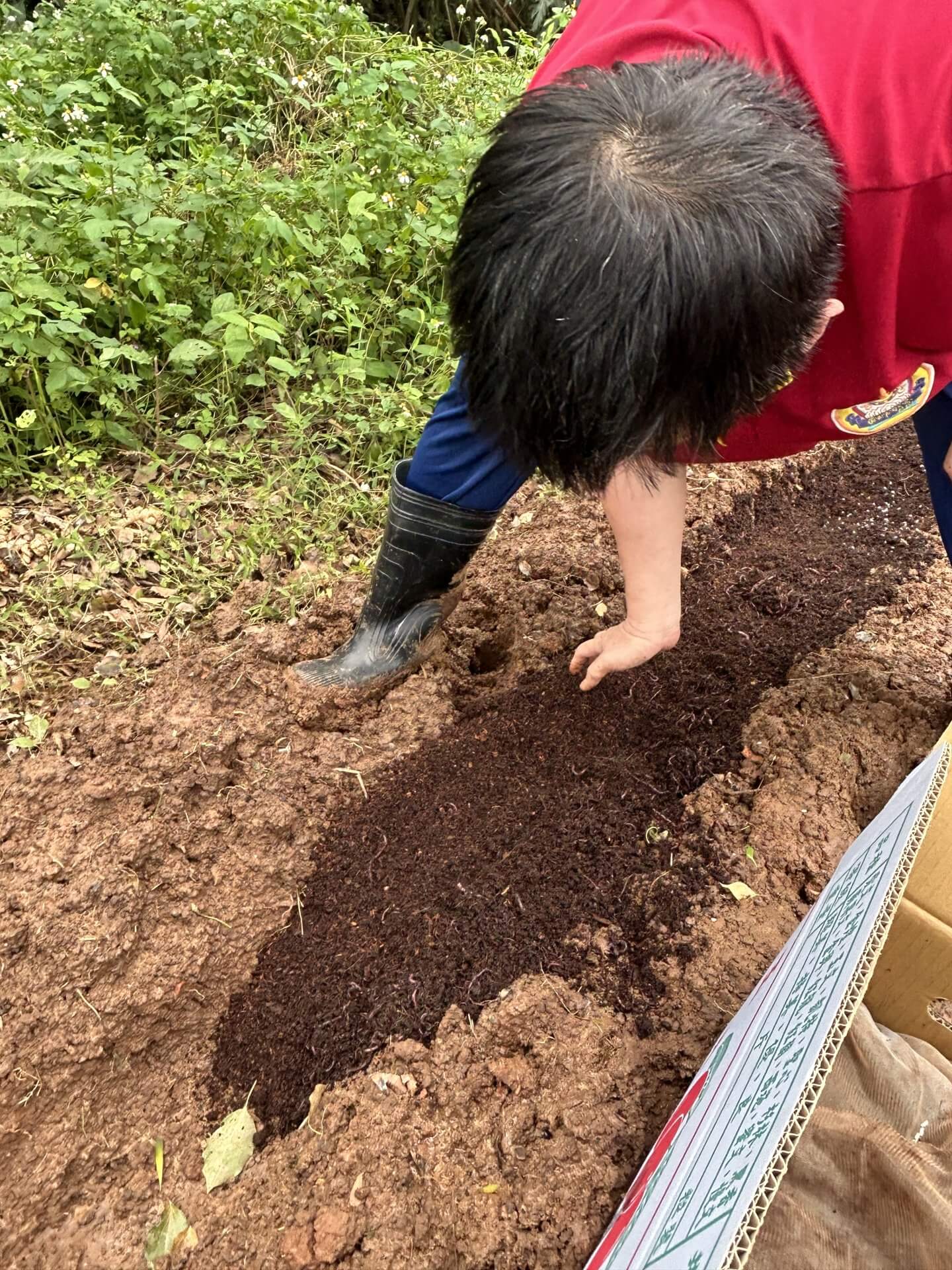 世界佛教正心會舉辦一年一度清明法會，法會圓滿後放生地龍三十萬尾